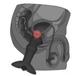 anal indulgence collection prostate stud - galeria 3