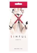 hogtie pink 2 - galeria 1