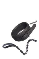 blaze collar and leash black - galeria 1