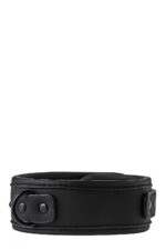 blaze collar and leash black - galeria 4
