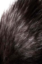 silver anal plug with a fox tail - galeria 6