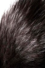 silver anal plug with a fox tail 2 - galeria 6
