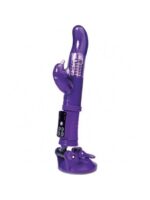 a toys vibrator with clitoral stimulator tpr purple 225 cm - zdjęcie produktu
