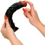 european lover 2 - galeria 4