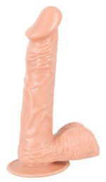 european lover medium - galeria 1