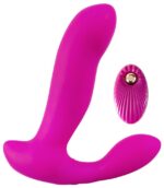 javida rc shakingvibrating pa - galeria 1