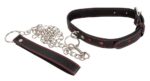 collar and leash - galeria 1