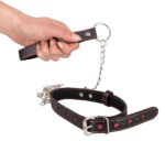 collar and leash - galeria 2