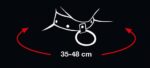 collar and leash - galeria 6