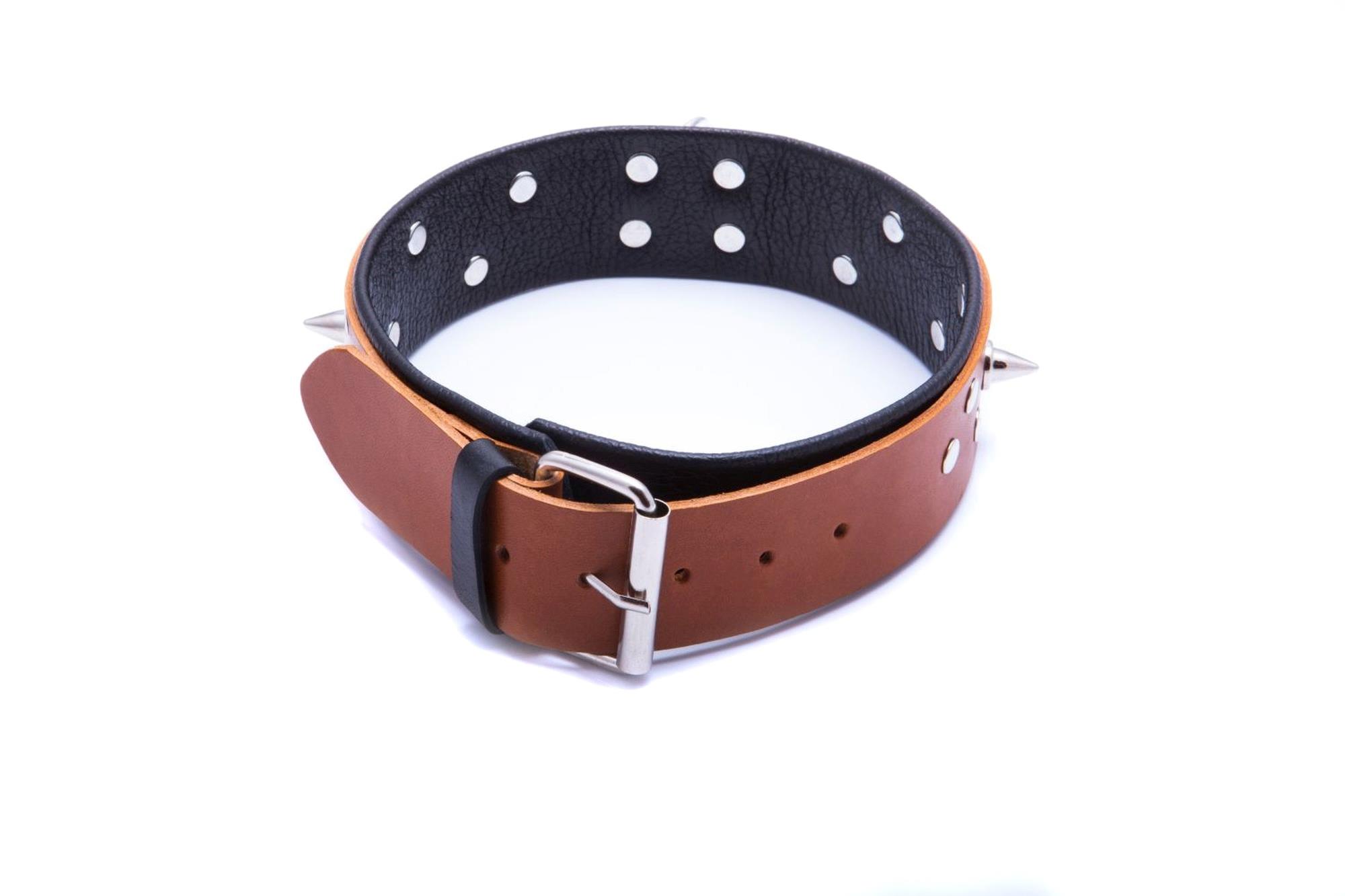 58-00042 Wiązania-WHIPS obroża męska ze smyczą, koniakowa - obrazek 1