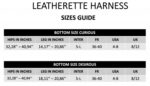 leatherette harness curious - galeria 10