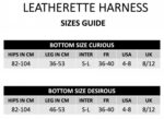 leatherette harness curious - galeria 11