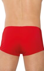 meskie shorty 4515 - galeria 1