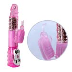 baile deluxe dream lover vibration rotation 2 - galeria 4