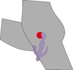 3 pointer purple - galeria 6